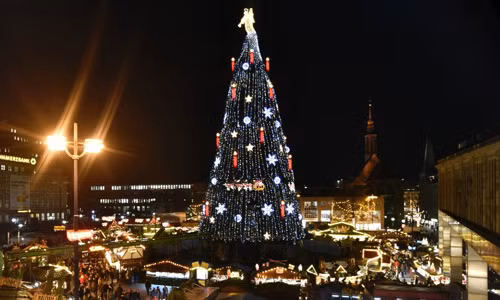 15% số cây thông Noel được bán do đích thân người mua chặt.