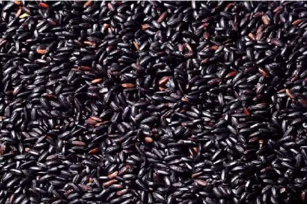  Gạo cẩm có vị ngọt, tính ấm, có tác dụng ích khí, bổ huyết, kiện tỳ ấm vị, bổ gan thận, ngưng ho. Gạo nếp cẩm đặc biệt thích hợp với những người có tỳ vị yếu, thể lực kém, thiếu máu, mắc chứng hồi hộp hụt hơi, ho hen, xuất tinh sớm, di tinh, liệt dương, đi tiểu thường xuyên, bà bầu, sản phụ sau sinh. 