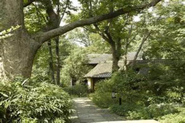 Nếu phòng ở của bạn ở ngay dưới tán cây to thì vận thế của đàn ông trong nhà sẽ bị ảnh hưởng nặng nề, tâm lí của chàng sẽ gặp trở ngại lớn. 