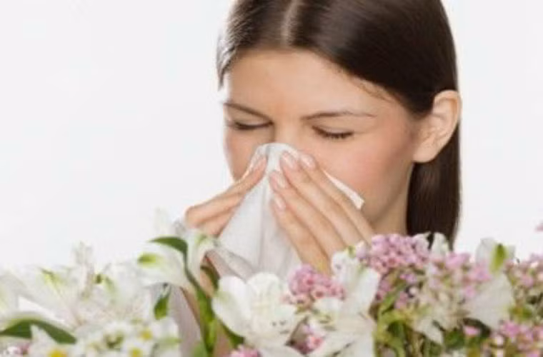  Viện nghiên cứu ung thư Seattle (Mỹ) đã quan sát liên tục trong 8 năm trên hơn 60.000 phụ nữ có độ tuổi từ 50-60, kết quả cho thấy những phụ nữ dễ bị dị ứng với phấn hoa có nguy cơ mắc bệnh ung thư máu (bệnh máu trắng, ung thư hạch bạch huyết) cao hơn người bình thường. 