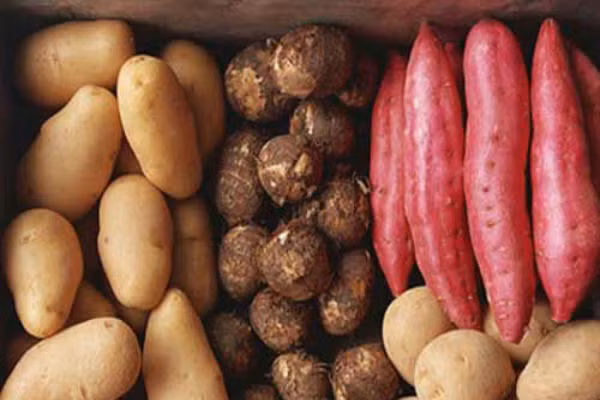 Bí quyét an khoai dẻ giảm can mà nguòi béo nen biét