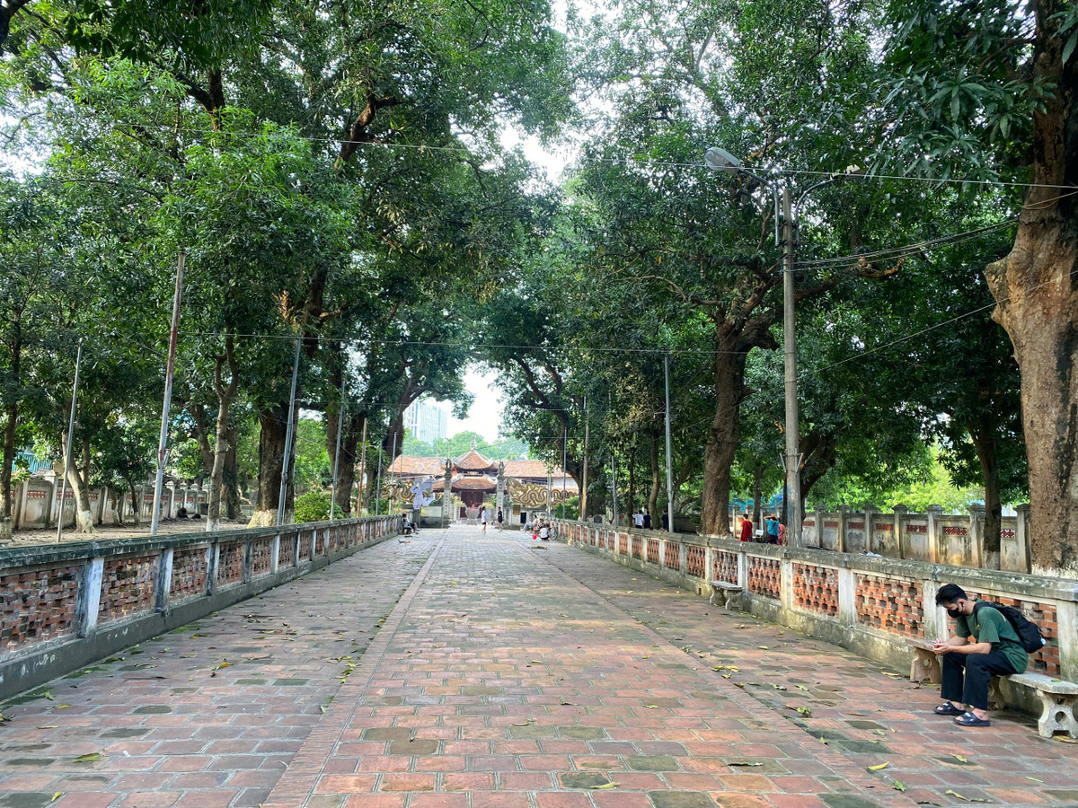 Chùa Láng được dựng trên một thế đất đẹp với nhiều cây cổ thụ rợp mát, phong cảnh u tịch, thâm nghiêm, từ xa xưa đã là “Đệ nhất tùng lâm” (rừng thông cổ thụ nhất ở kinh thành Thăng Long). Bên trong là một khoảng sân rộng rợp bóng cây, lối đi giữa lát gạch dẫn tới tam quan nội, phía trong là sân chùa.