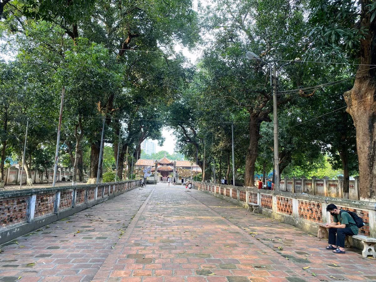 Chùa Láng được dựng trên một thế đất đẹp với nhiều cây cổ thụ rợp mát, phong cảnh u tịch, thâm nghiêm, từ xa xưa đã là “Đệ nhất tùng lâm” (rừng thông cổ thụ nhất ở kinh thành Thăng Long). Bên trong là một khoảng sân rộng rợp bóng cây, lối đi giữa lát gạch dẫn tới tam quan nội, phía trong là sân chùa.