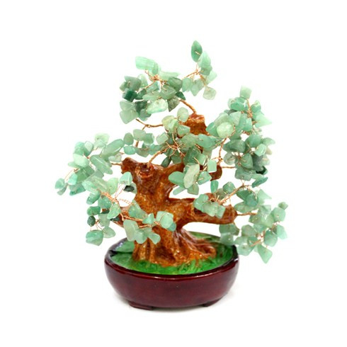 Cây tài lộc màu xanh, thường được ví von là sự mô phỏng của cây Ngọc Bích Ảnh: cungmua.com