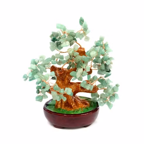 Cây tài lộc màu xanh, thường được ví von là sự mô phỏng của cây Ngọc Bích Ảnh: cungmua.com