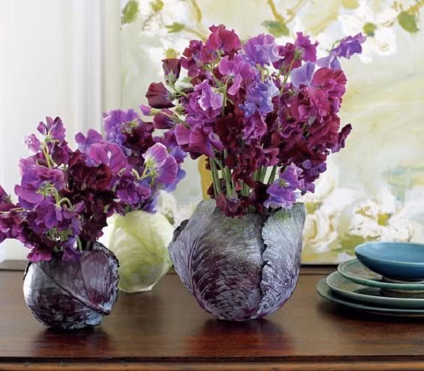 Hoặc trùng màu với cây bắp cải này để cắm thành bình hoa. Ảnh: Khám phá.