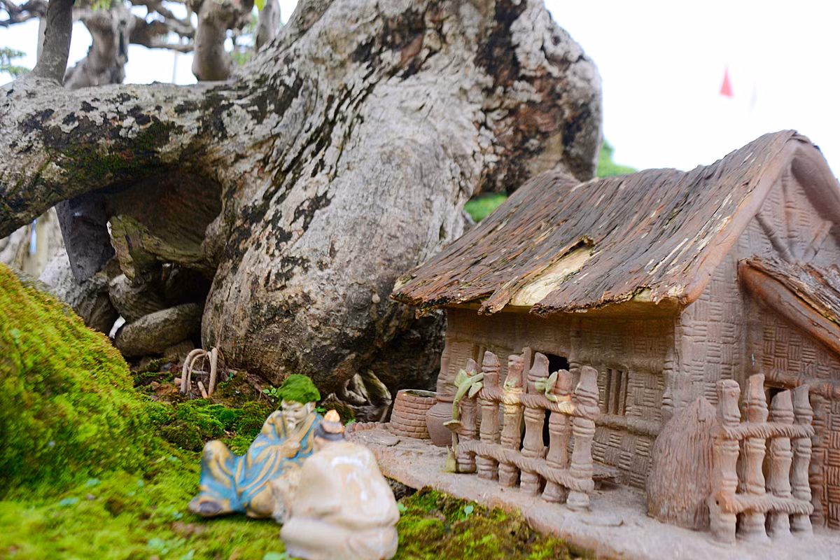 Dưới gốc cây ông Hùng đặt thêm một tiểu cảnh nhỏ tạo thêm sự tao nhã cho tác phẩm.