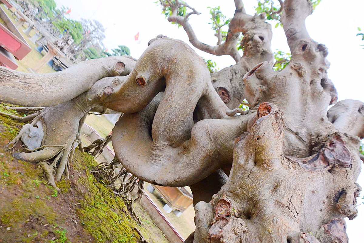 ... tạo nên một tác phẩm hoàn mỹ.