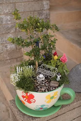 Những cây bonsai nhỏ được đặt trong chiếc cốc khiến chúng trở nên đáng yêu