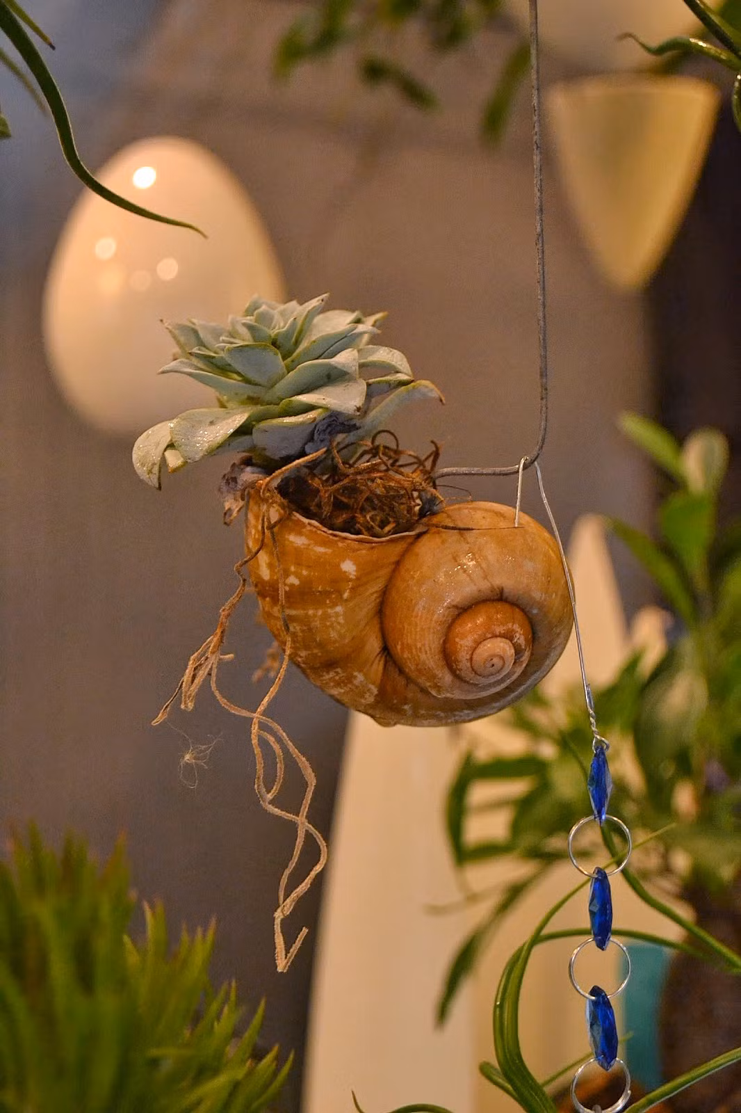 Đây là những loại cây nhỏ hoặc cây thân dây leo có thể bám vào móc treo vỏ ốc hay rũ xuốn5g đất tạo thành một sản phẩm chậu treo nhìn rất đẹp mắt. Ảnh: gardener428.rssing.com.