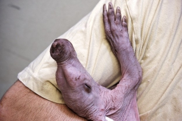 Loài động vật quý hiếm này gần như không sinh sản trong điều kiện nuôi nhốt. Chính vì thế, việc bảo tồn, nhân giống chúng cực kỳ khó khăn.