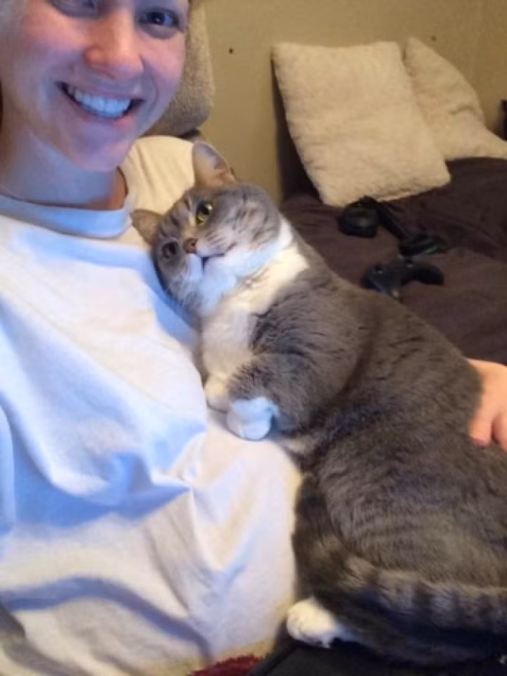 Nũng nịu như em bé trong lòng mẹ. (Nguồn: Bored Panda)