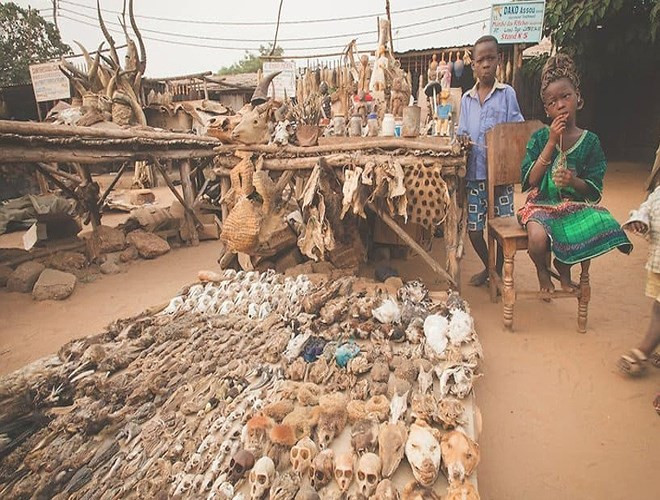 Chợ Akodessewa Flim, Togo. Đầu lâu, xương người và động vật là những mặt hàng được bán tại chợ này (Nguồn: VOV)