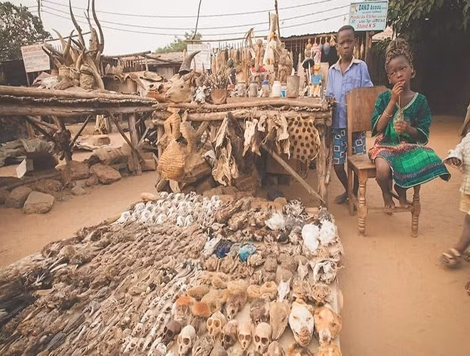 Chợ Akodessewa Flim, Togo. Đầu lâu, xương người và động vật là những mặt hàng được bán tại chợ này (Nguồn: VOV)
