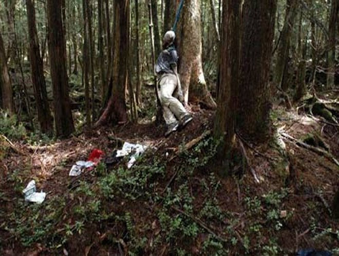 Người dân tin rằng những con quỷ và linh hồn thường lảng vảng giữa những tán cây dày đặc và bóng tối của khu rừng Aokigahara