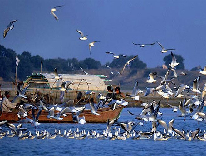 Hiện tượng bí ẩn này khiến các nhà khoa học, du khách và dân làng hoang mang