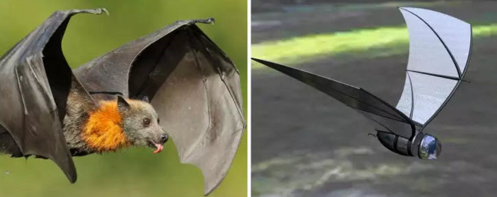 Được phát triển bởi Đại học Michigan cho một dự án quân sự, chiếc máy bay do thám tự động điều khiển từ xa này lấy cảm hứng từ loài dơi, động vật chuyên săn đêm và có đôi tai cực kỳ thính. (Theo Emgn) 