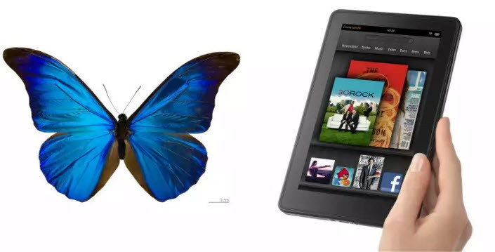Bạn có thể cảm ơn loài bướm khi có thể đọc một cuốn sách điện tử mà không gây tổn thương cho đôi mắt của mình. Lấy cảm hứng từ màu ánh kim của cánh bướm, màn hình tinh thể của sách điện tử phản ánh sáng này giúp bảo vệ con mắt của người dùng, chống mỏi mắt, nhức mắt vô cùng hiệu quả. (Theo Emgn)