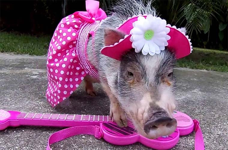 Ăn diện thế này liệu có hơi quá không nhỉ?