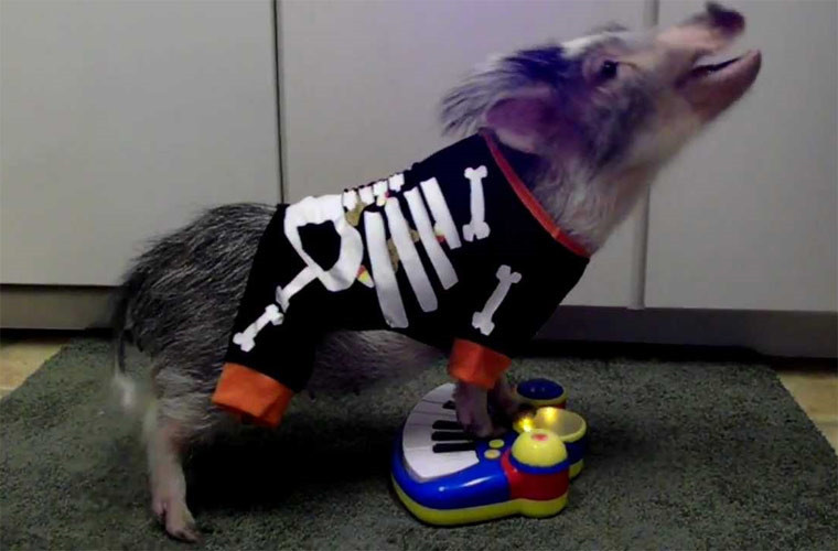 Đã là nghệ sĩ là phải đẹp khi biểu diễn.