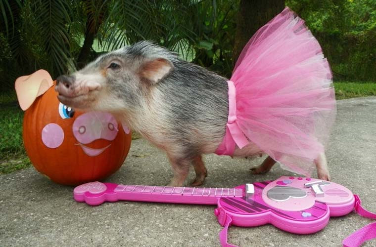 Nàng Thimble trông thật lộng lẫy trong bộ váy công chúa màu hồng.