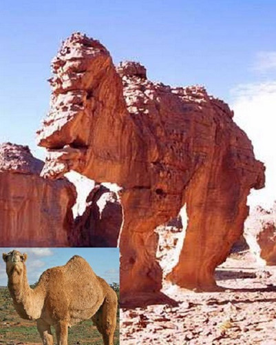 Tại Tassili N'ajjer, Algeria, bạn còn có thể chiêm ngưỡng chú lạc đà khổng lồ bằng đá này khi đi dạo.