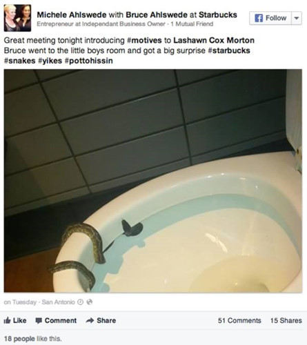 Một khách hàng của hãng Starbucks ở San Antonio “chết đứng” khi anh đi vào phòng tắm của cửa hàng. Người đàn ông phải đối mặt với một con rắn uốn lượn ngay trên bồn cầu.