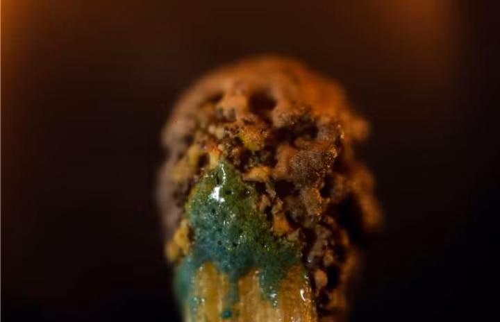 Thực ra đó là đầu que diêm đã cháy.