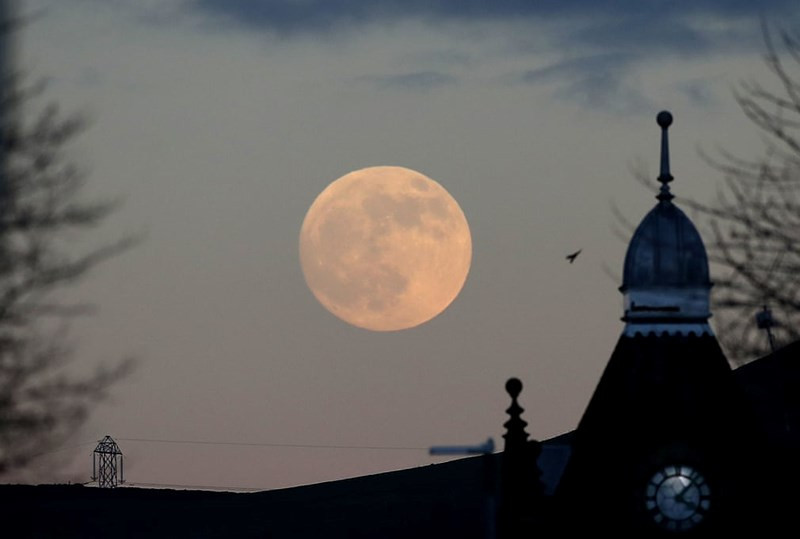 Mặt trăng chuyển màu đẹp ma mị.