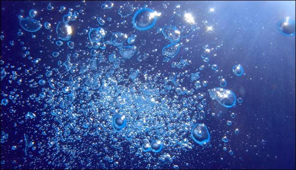 Cá trích sẽ nuốt không khí ở xung quanh và lưu trữ tại bong bóng của mình. Khi trời tối, chúng xì hơi qua hậu môn giúp đồng loại nhận diện vị trí của mình.