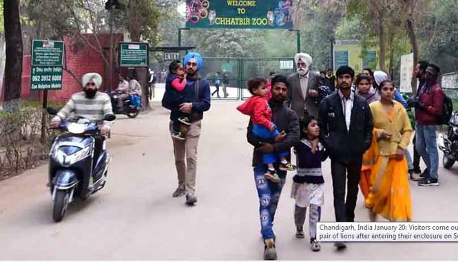 Thanh nien bi su tu cai hanh den chet-Hinh-2