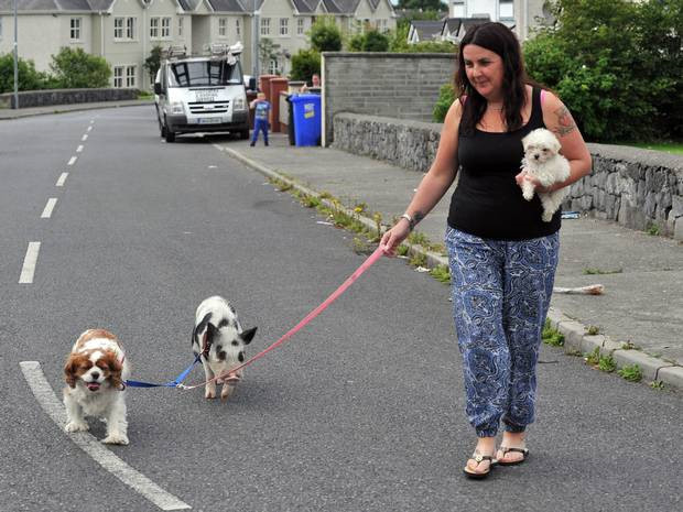 Một người phụ nữ dắt dàn thú cưng của mình đi dạo, tăng cường vận động, nâng cao sức khỏe, trong đó có cả một chú lợn cảnh mini. (Ảnh: Independent)