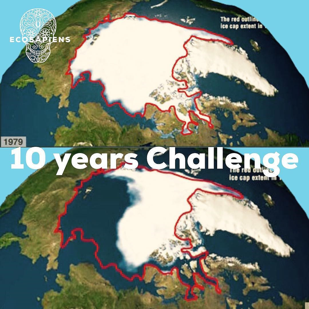 Diện tích băng tuyết đang suy giảm nhanh chóng, điều này là nguyên nhân trực tiếp gây ra hiện tượng nước biển dâng