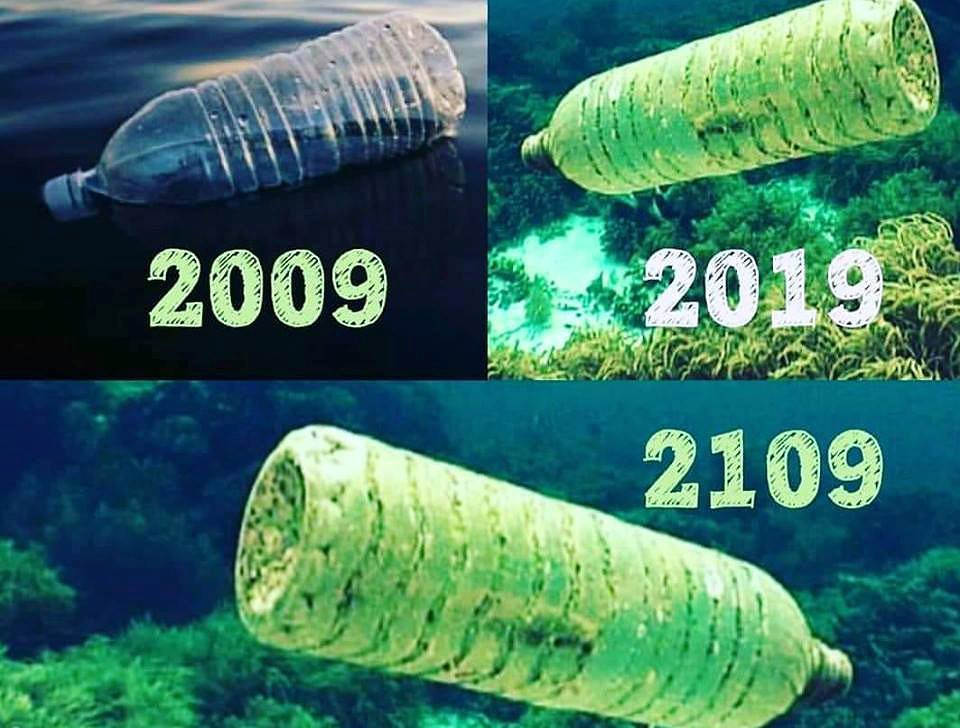 Cứ trung bình mỗi phút, có một xe rác thải nhựa được đổ vào đại dương. Cho dù 10 năm hay 100 năm đi chăng nữa, rác thải nhựa vẫn không phân hủy