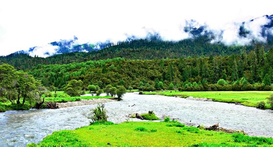 Tây Tạng là vùng đất có sự đa dạng đáng kinh ngạc, bao gồm những ngọn núi phủ tuyết, hồ nước thanh bình, sa mạc rộng lớn, thung lũng sông quanh co và thậm chí cả những khu rừng quyến rũ. Ảnh: TT.