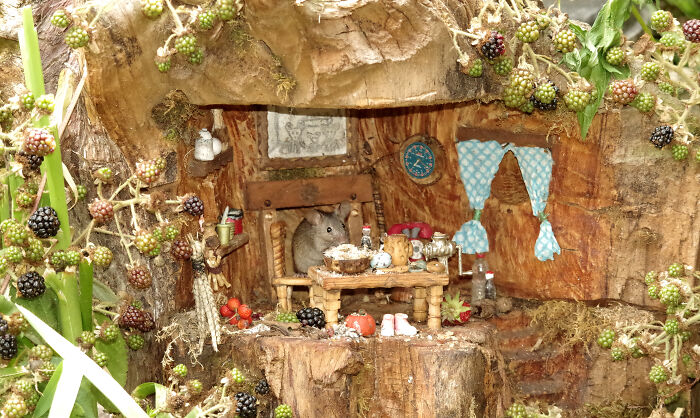 Ngôi nhà được xây trong gốc cây.