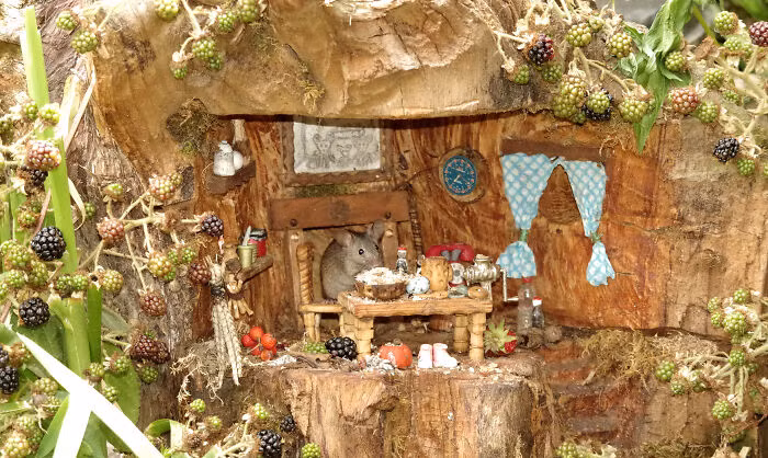 Ngôi nhà được xây trong gốc cây.