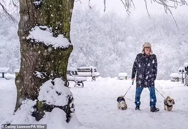 Người đàn ông dắt chó đi dạo khi tuyết rơi dày đặc ở Knaresborough, Yorkshire.