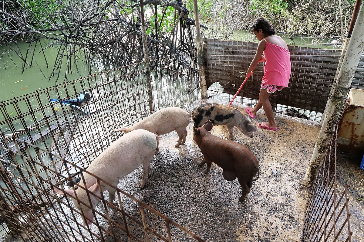 Hầu hết người dân ở Tuvalu là nông dân.