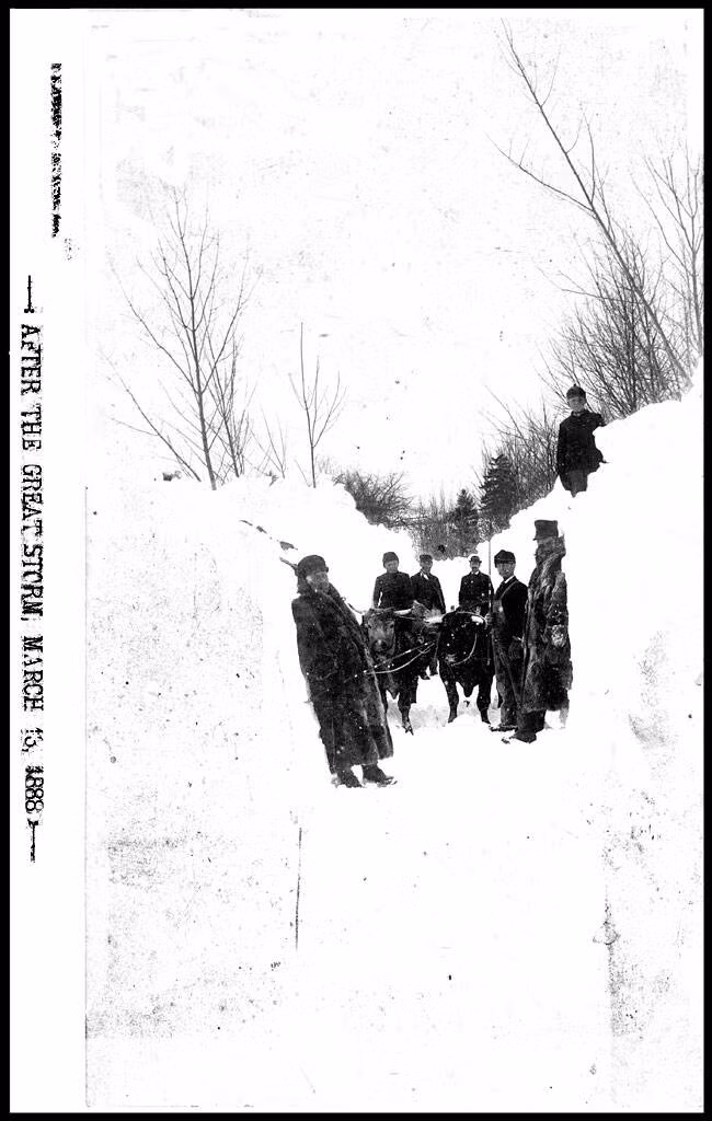 Trận bão tuyết chết chóc năm 1888 sau đó đã thúc đẩy việc xây dựng cơ sở hạ tầng ngầm ở các thành phố lớn như New York, vì thảm họa này đã làm nổi bật những thiếu sót trong cơ sở hạ tầng trên mặt đất. Ảnh: Một tấm bưu thiếp từ thời đó có nội dung "Sau cơn bão lớn năm 1888".