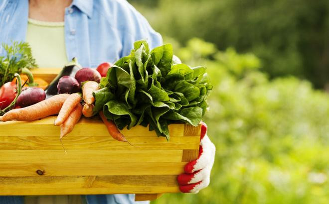 Bo ngay 5 thuc pham nay khoi che do an de duy tri can nang va khoe manh-Hinh-5