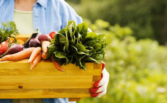 Bỏ ngay 5 thực phẩm này khỏi chế độ ăn để duy trì cân nặng và khỏe mạnh - Hình 5 Bo ngay 5 thuc pham nay khoi che do an de duy tri can nang va khoe manh-Hinh-5