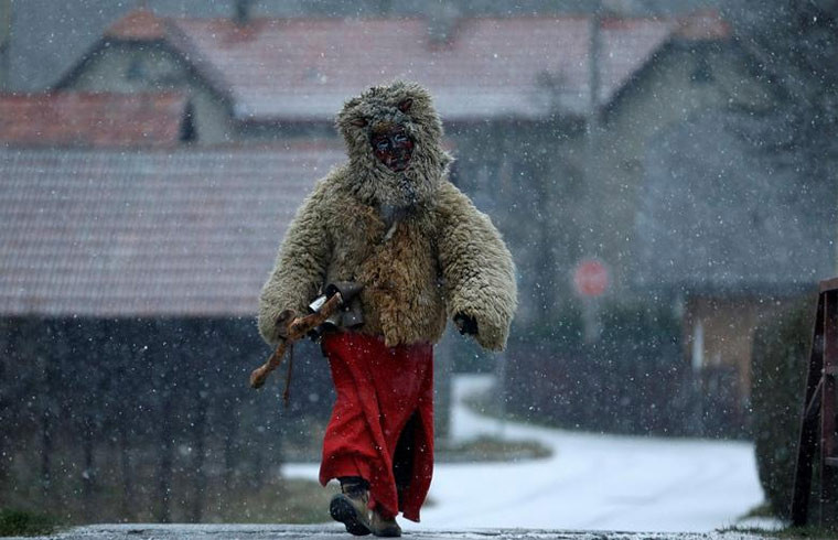 Các con quỷ đều khoác lên mình những tấm áo lông cừu dày để chống lại cái lạnh giữa trời tuyết giá.