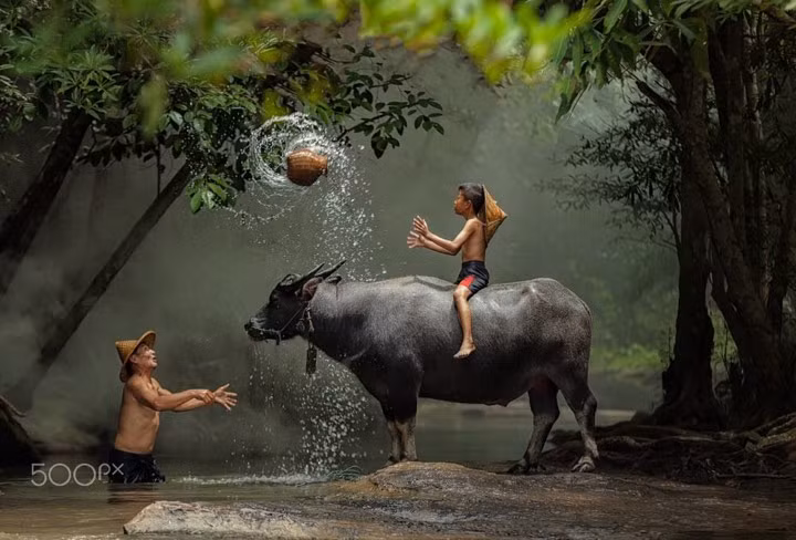 Giây phút bình yên của hai cha con tại một vùng quê Thái Lan. (Ảnh: Visoot Uthairam)