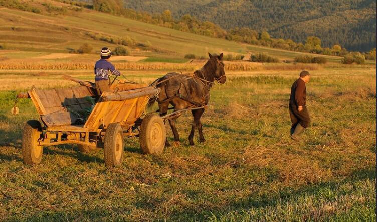 Người dân ở làng Ozsdola, Transylvania. (Ảnh: Paul White/Flickr)