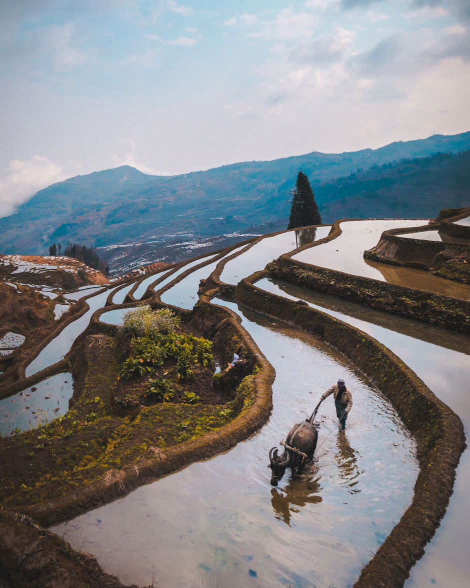 Ruộng bậc thang ở Vân Nam, Trung Quốc. (Ảnh: Matador Network)