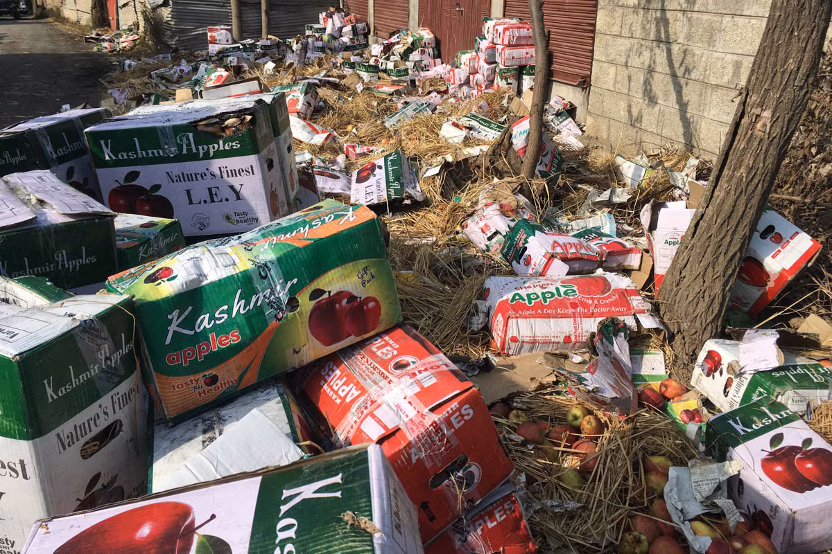 Sản xuất và kinh doanh táo là xương sống của nền kinh tế Kashmir nhưng người dân tại khu vực đã tổ chức tẩy chay việc kinh doanh mặt hàng này với các vùng khác của Ấn Độ. Trong ảnh, nhiều thùng táo vốn sẽ được xuất đi, đã bị phá hủy và vứt bỏ.
