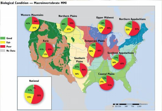 Là một quốc gia công nghiệp, nước Mỹ cũng không thoát khỏi bóng đen của ô nhiễm nước. Trong năm 2015, mỏ Gold King ở Mỹ xảy ra vụ tràn nước thải khi nắp giữ nước thải bị vỡ và các chất độc hại tràn vào gần đó. Nước quanh khu vực này bị ô nhiễm bởi kim loại nặng.