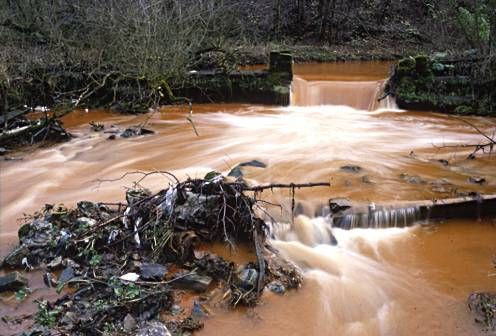 Nhiều con sông bị ô nhiễm tại Đức. Quốc gia này đã sớm có những quy định về sử dụng và bảo vệ nguồn nước. Đạo luật nước liên bang được đưa ra vào năm 1957 nhằm làm sạch các nguồn nước trong tương lai. Đạo luật về phí nước thải điều chỉnh loại và lượng nước thải mà các ngành công nghiệp khác nhau cũng được áp dụng. Luật cũng quy định mức tiền phạt và hình phạt nếu vi phạm. Ảnh: Sông Rhine bị ô nhiễm ở Đức. Ảnh: Emaze.