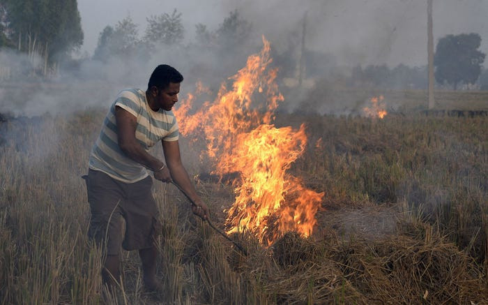 Nguyên nhân chính của tình trạng này là do việc đốt rơm tại các nông trại lân cận thủ đô New Delhi. Theo số lượng từ việc giám sát chất lượng không khí của Bộ Khoa học Trái đất Ấn Độ, khói từ các trang trại chịu trách nhiệm cho 44% tình trạng ô nhiễm không khí của New Delhi. Ảnh: Một người nông dân đang đốt rơm tại ngoại ô Jalandha, Ấn Độ, năm 2016/Getty